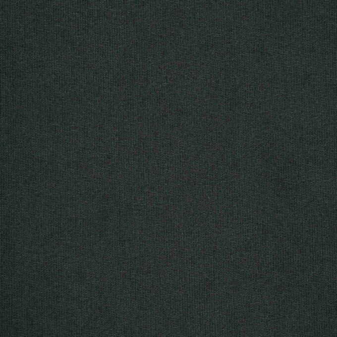 NEW VINTAGE CROPPED LONG SLEEVE T-SHIRT