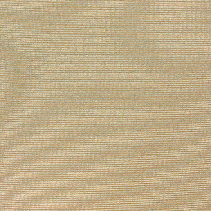 SKIMS BODY CORE SCULPT WAIST CINCHER THONG